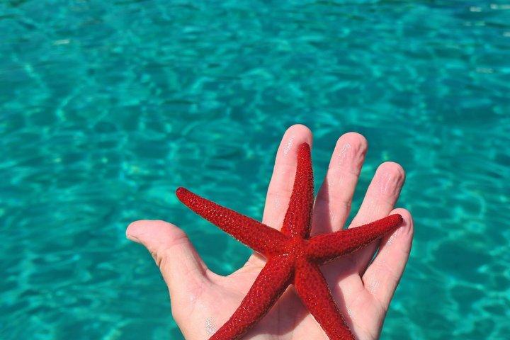 Zadar: Small Group Boat Tour with Drinks & Snorkeling