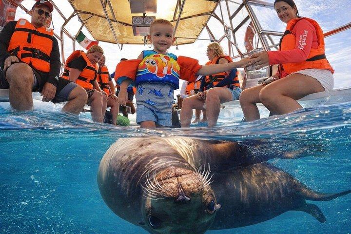 Crystal Clear Boat Tour: See all of the tourist locations