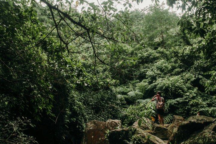 Munduk Twin Lake Jungle Trek with Sacred Forest Temples&Canoeing