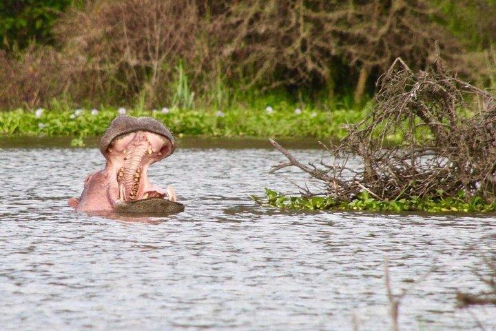 Lake Naivasha & Hell’s Gate National Park Day Tour from Nairobi
