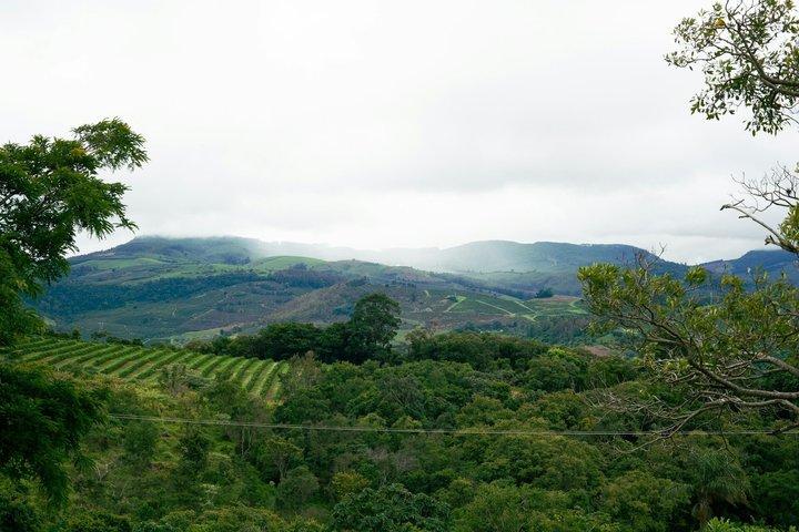 Fairview Coffee Farm Tour and MauMau cave Paradise Lost