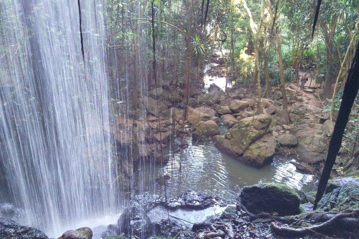 Fairview Coffee Farm Tour and MauMau cave Paradise Lost