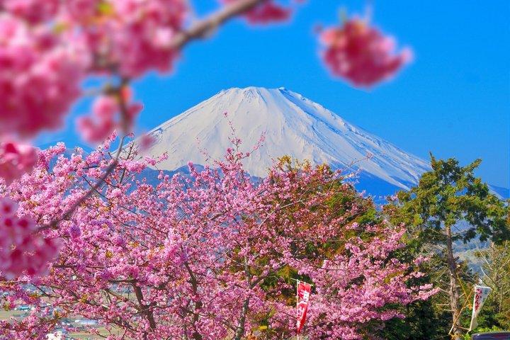 Cooking Hoto Udon Noodle Tour in Mt.Fuji Area from Tokyo