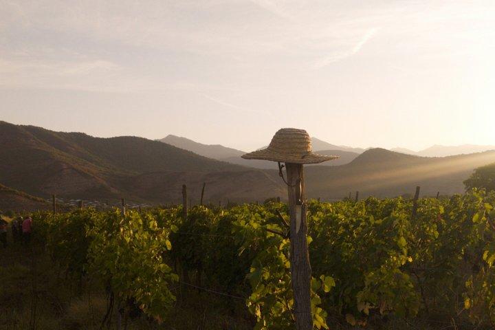 Kakheti Wine Private Tour from Tbilisi with Sighnaghi & Bodbe