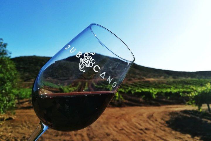 Private Vineyards Tour – Tastings & Lunch Included