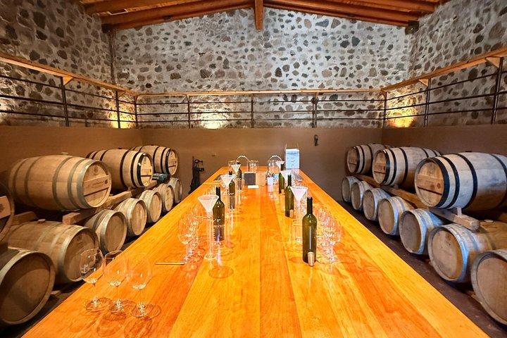 Private Vineyards Tour – Tastings & Lunch Included