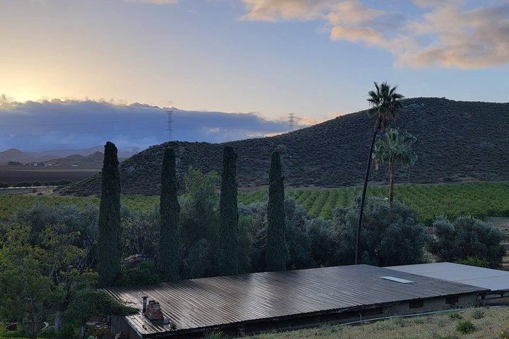 Private Vineyards Tour – Tastings & Lunch Included