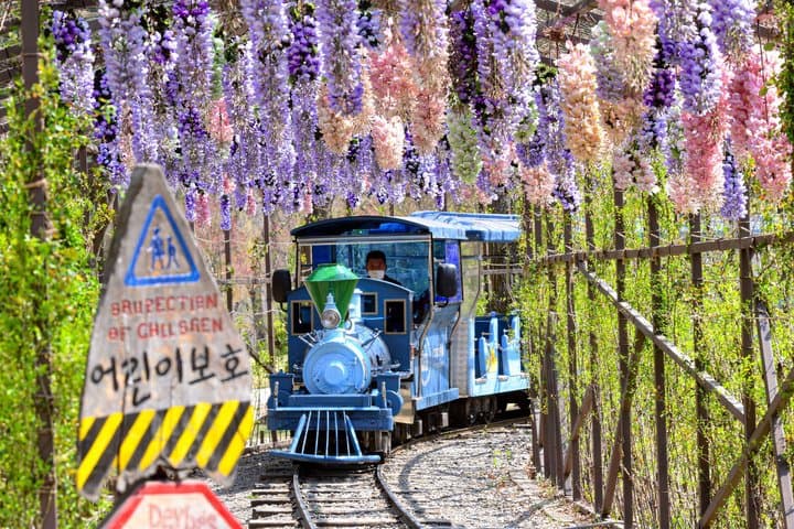 Day Trip to Nami Island with The Garden of Morning Calm