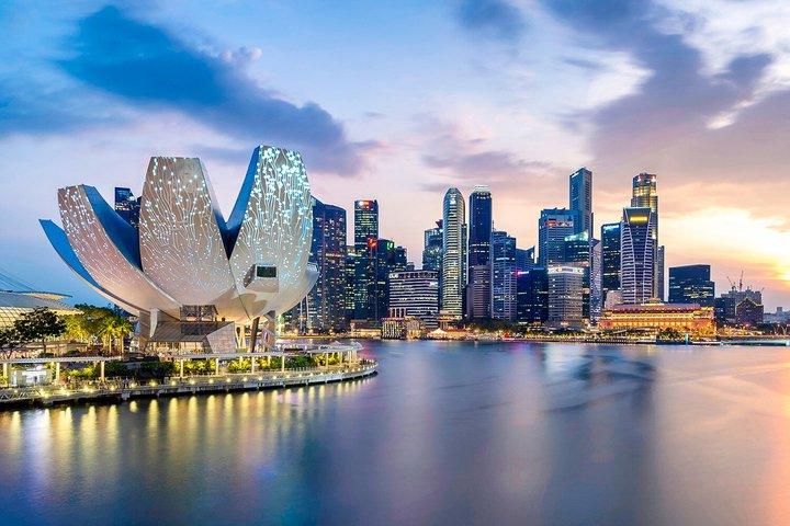 Singapore ArtScience Museum Future World Ticket