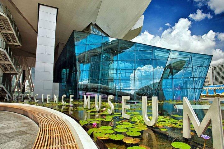 Singapore ArtScience Museum Future World Ticket