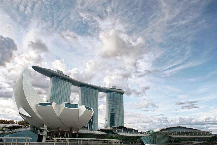 Singapore ArtScience Museum Future World Ticket