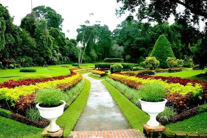 Colonial Tour of Kandy Tea Empire & British History by Tuk Tuk