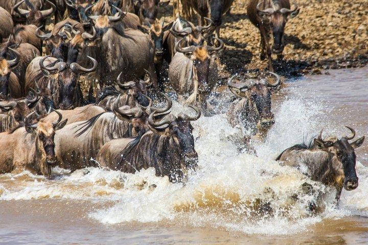 7 Days Safari. Serengeti, Tarangire, Lake Manyara & Ngorongoro Crater.