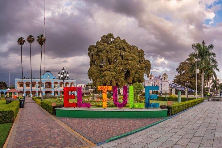 Half-Day Tour to Explore Hierve el Agua