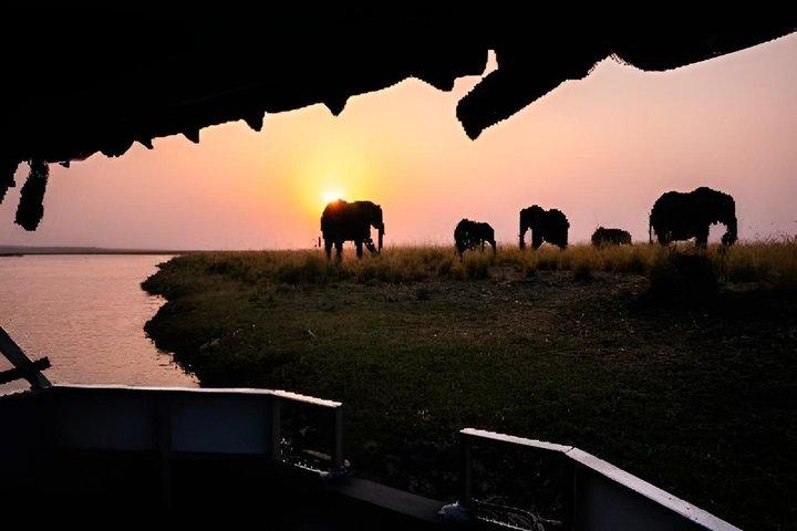 3 Hour Chobe River Sunset Cruise from Victoria Falls