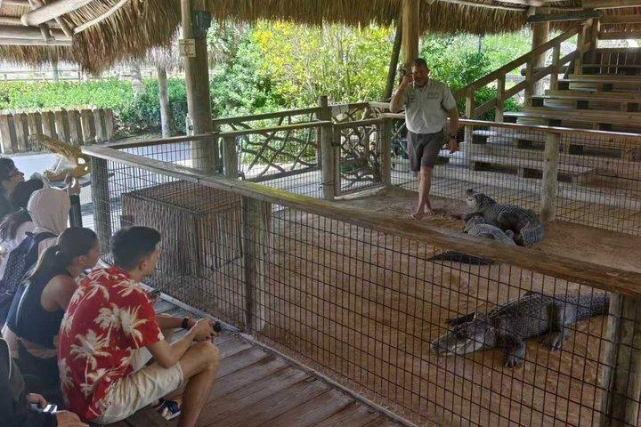 Miami Everglades National Park Half Day Small Group Tour
