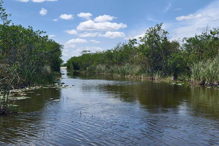 Miami Everglades National Park Half Day Small Group Tour