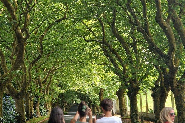 Terceira Island Private Full-Day Slow Tour with Local guide