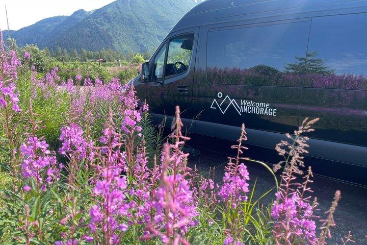 Glacier View & Wildlife Anchorage Adventure Tour
