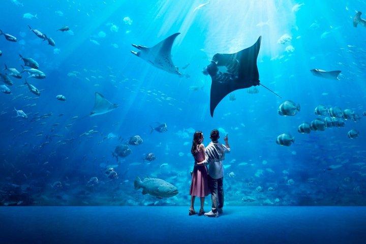 Singapore Oceanarium Admission Ticket