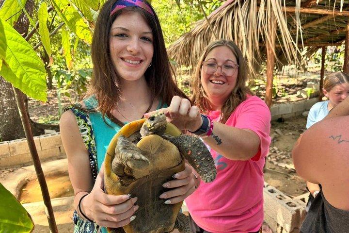 Monkey Tour and 7 Waterfalls Damajagua (Puerto Plata)