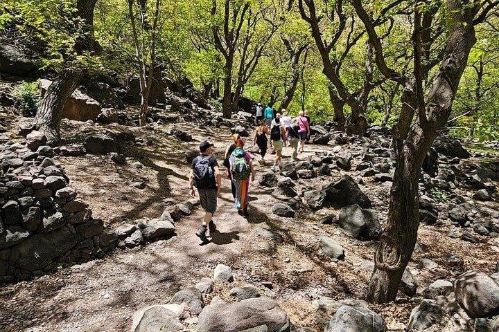 Marrakech: High Atlas, Imlil Valley and Waterfalls Tour