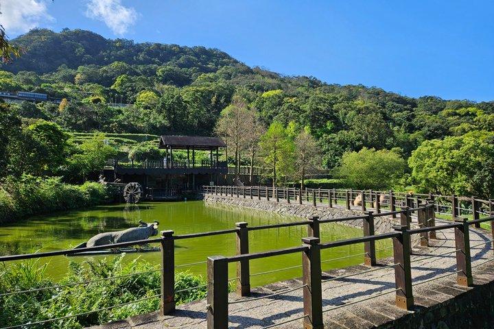 Pinglin Tea Culture & Maokong Day Tour from Taipei