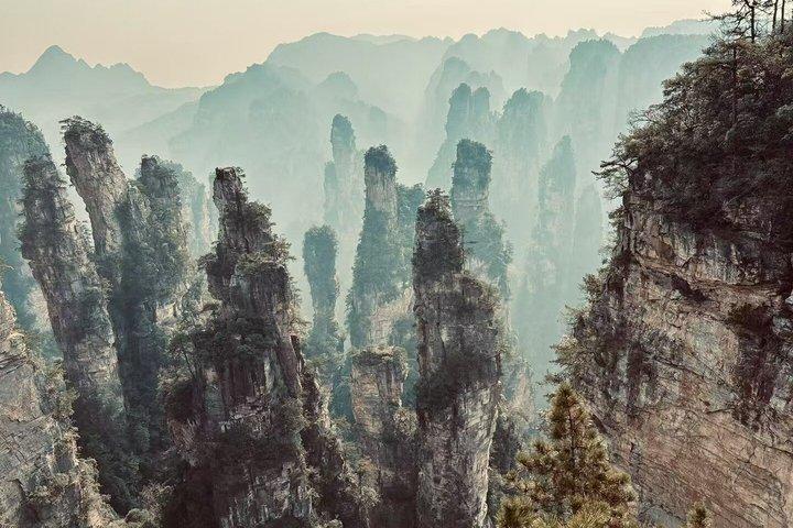 Private Day Tour Zhangjiajie National Forest ParkAvatar Mountain