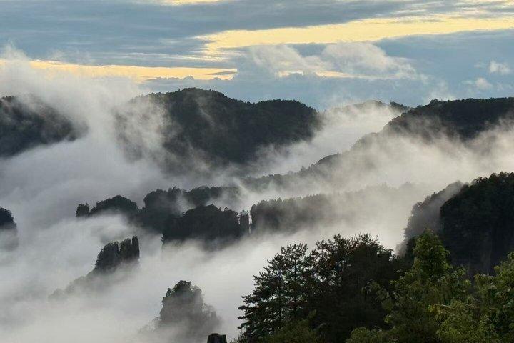 Private Day Tour Zhangjiajie National Forest ParkAvatar Mountain