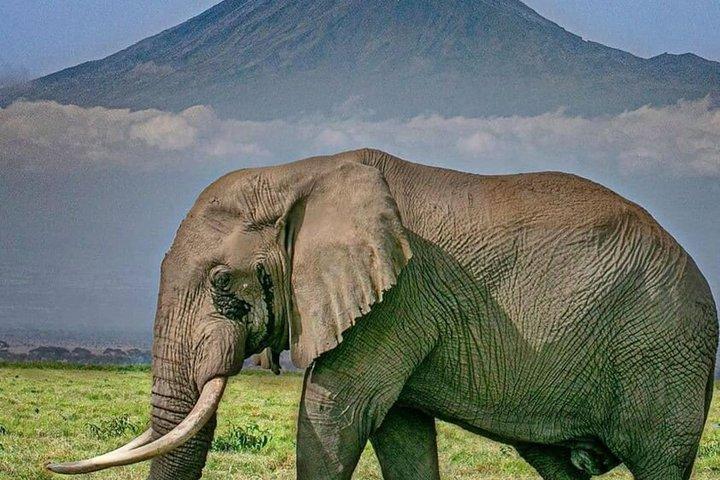 10 Days Kenya and Tanzania Magical Safari