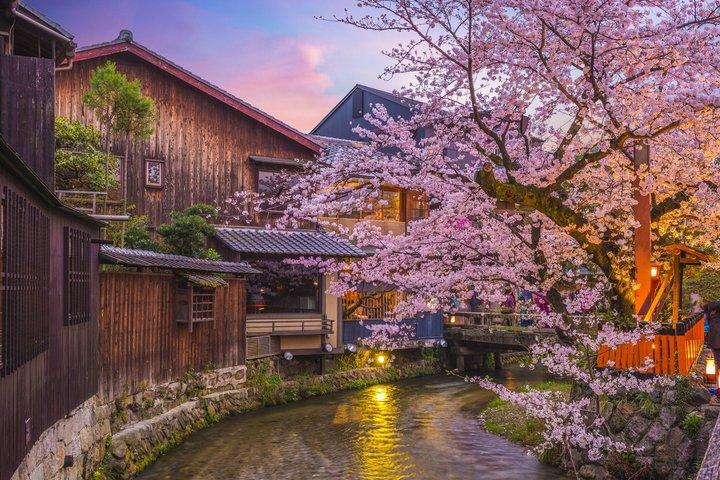 Kyoto Gion Geisha District & Hidden Gems Walking Tour