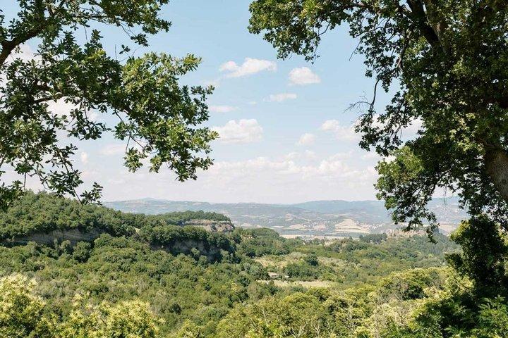 Winery Tour & Wine Tasting with Cheese at a Family Winery