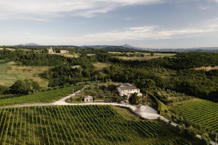 Winery Tour & Wine Tasting with Cheese at a Family Winery