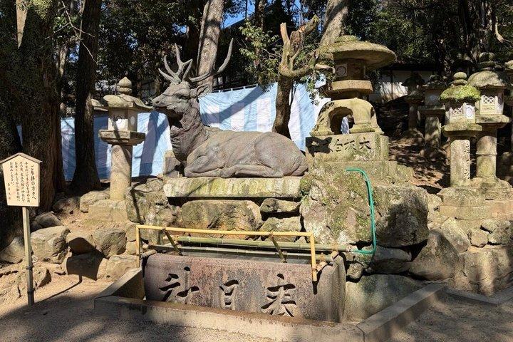 Nara Private Car Tour from Kyoto