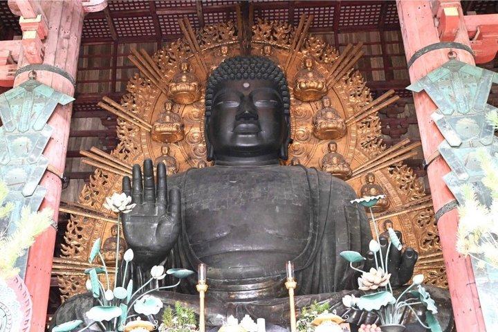 Nara Private Car Tour from Kyoto