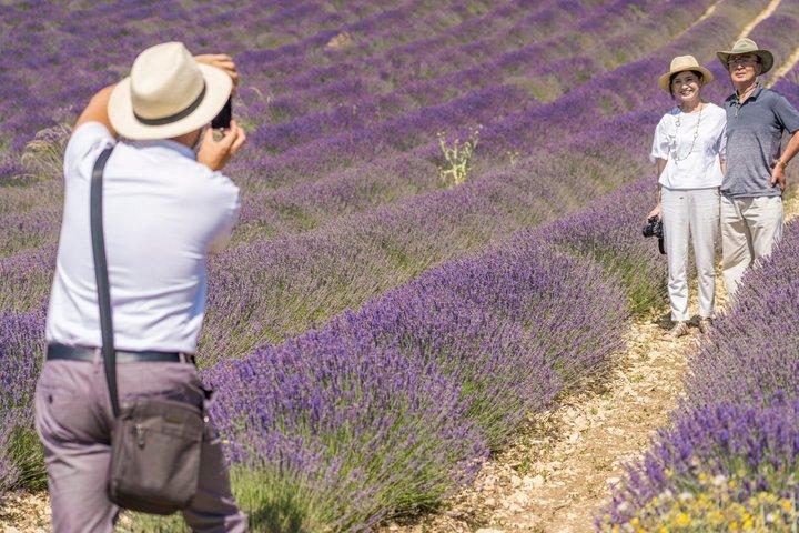 Provence Lavender Fields Tour from Aix-en-Provence