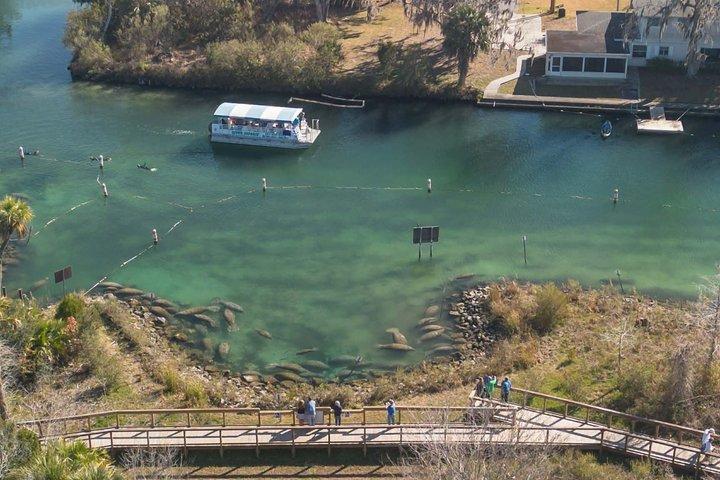 Crystal River Manatee Viewing & Sightseeing Boat Tour