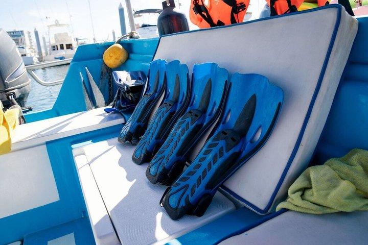Snorkel Tour and Glass-Bottom Boat Ride in Cabo San Lucas