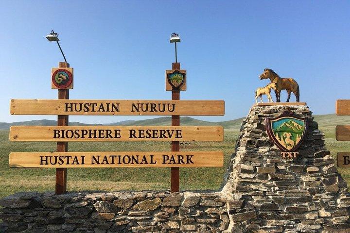 Hustai National Park Day Tour
