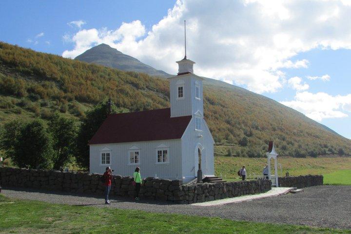 Half-Day Combo Tour to Goðafoss, Laufas and The Christmas House