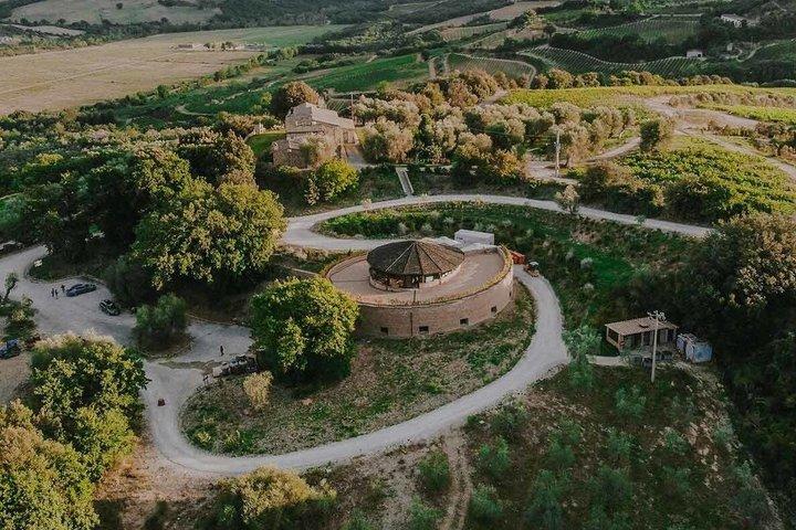 Private Brunello Uncorked: Discover Tuscany’s Iconic Red