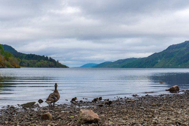 Day Tour from Edinburgh Glenfinnan Viaduct and Mallaig