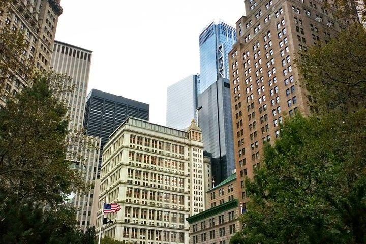 New York City Half Day Dumbo to City Hall Walking Tour