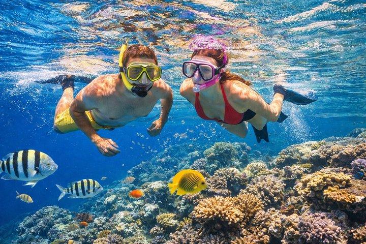 Intro Diving 2 Stops For Beginners, Cruise With Lunch – Hurghada