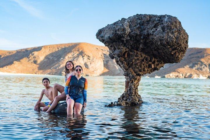 Day Trip to La Paz & Balandra Beach from Cabo San Lucas