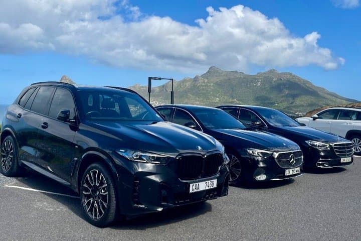 Cape of Good Hope & Chapman’s Peak Private Tour