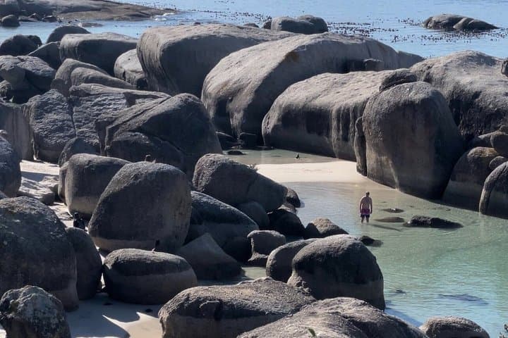 Cape of Good Hope & Chapman’s Peak Private Tour