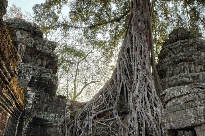 Wang 007 - One Day Explore Angkor Wat Small Loop Tour