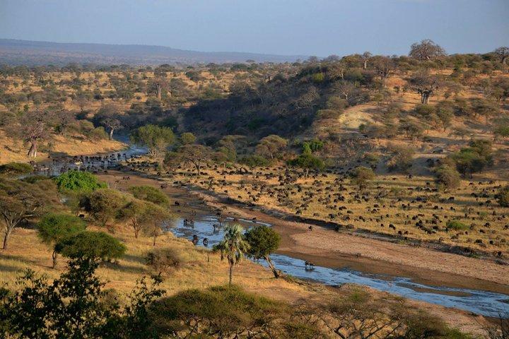 2 Days Tarangire and Ngorongoro Safari