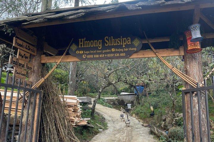 Sapa Half-Day Motorbike: Mountains, Rice Terraces & Villages